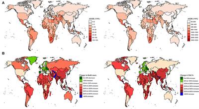 The global burden of type 2 diabetes attributable to high body mass index in 204 countries and territories, 1990–2019: An analysis of the Global Burden of Disease Study